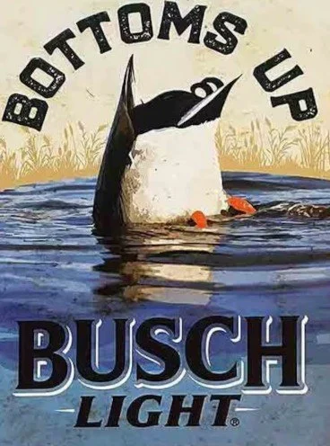 A penguin in water with a background of grass and reeds, with the text 'BOTTOMS UP' above and the Busch Light logo below.