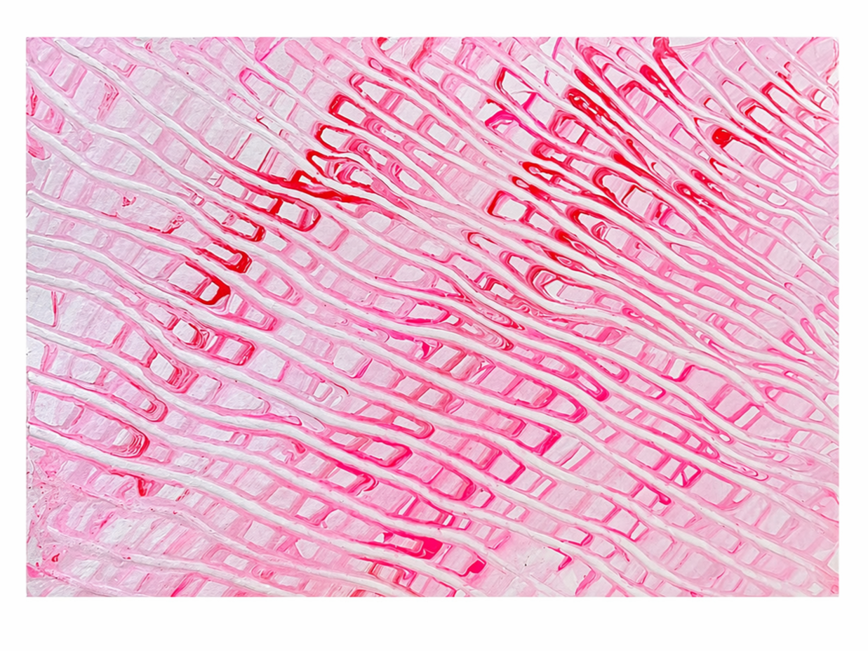 Sara+Schmidt+-+untitlted+cover+up+series+5.png