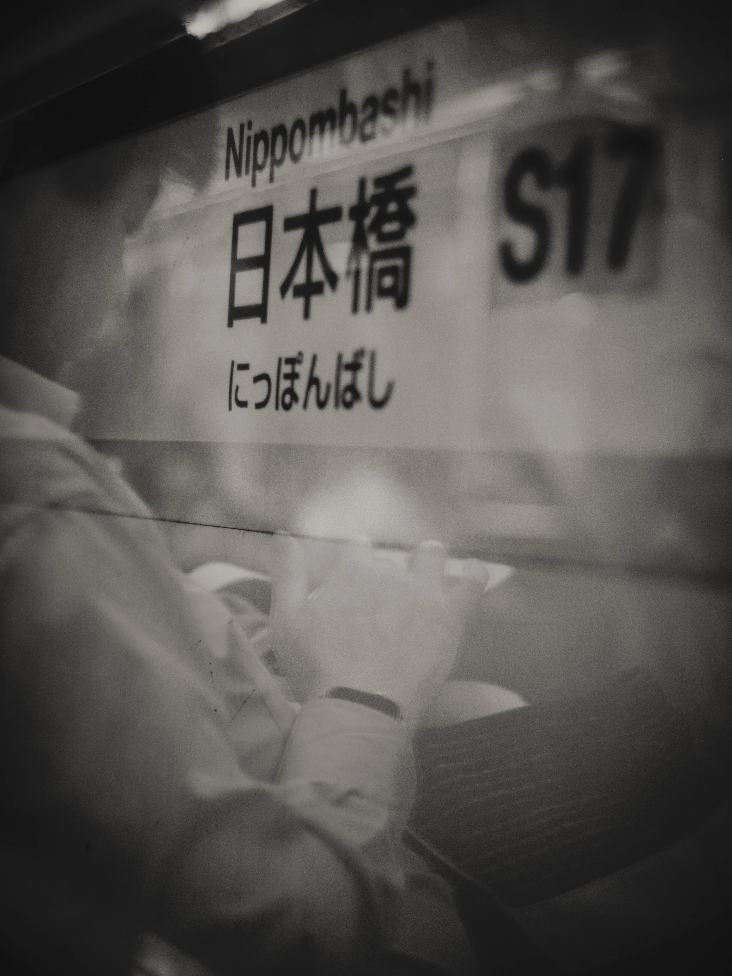 Close-up of a sign with the word Nipponbashi, Japanese characters, and the code S17.