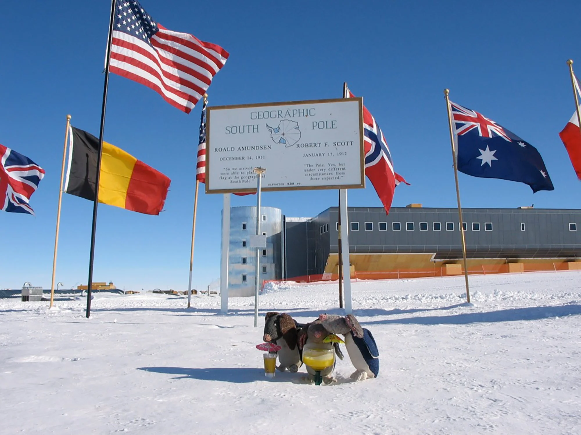 Hand-Knit animals at South Pole