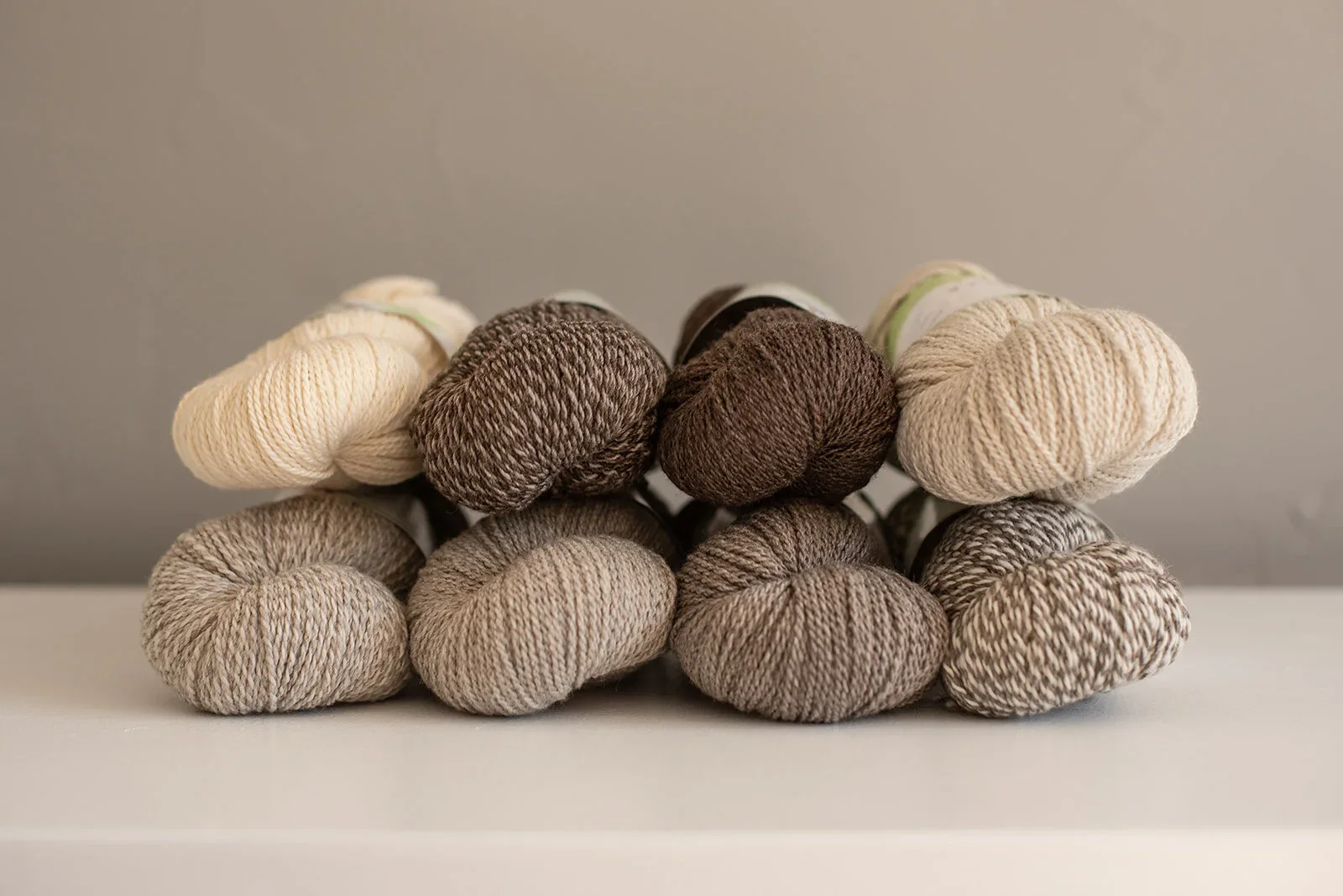 Earthstar – Cormo Sport