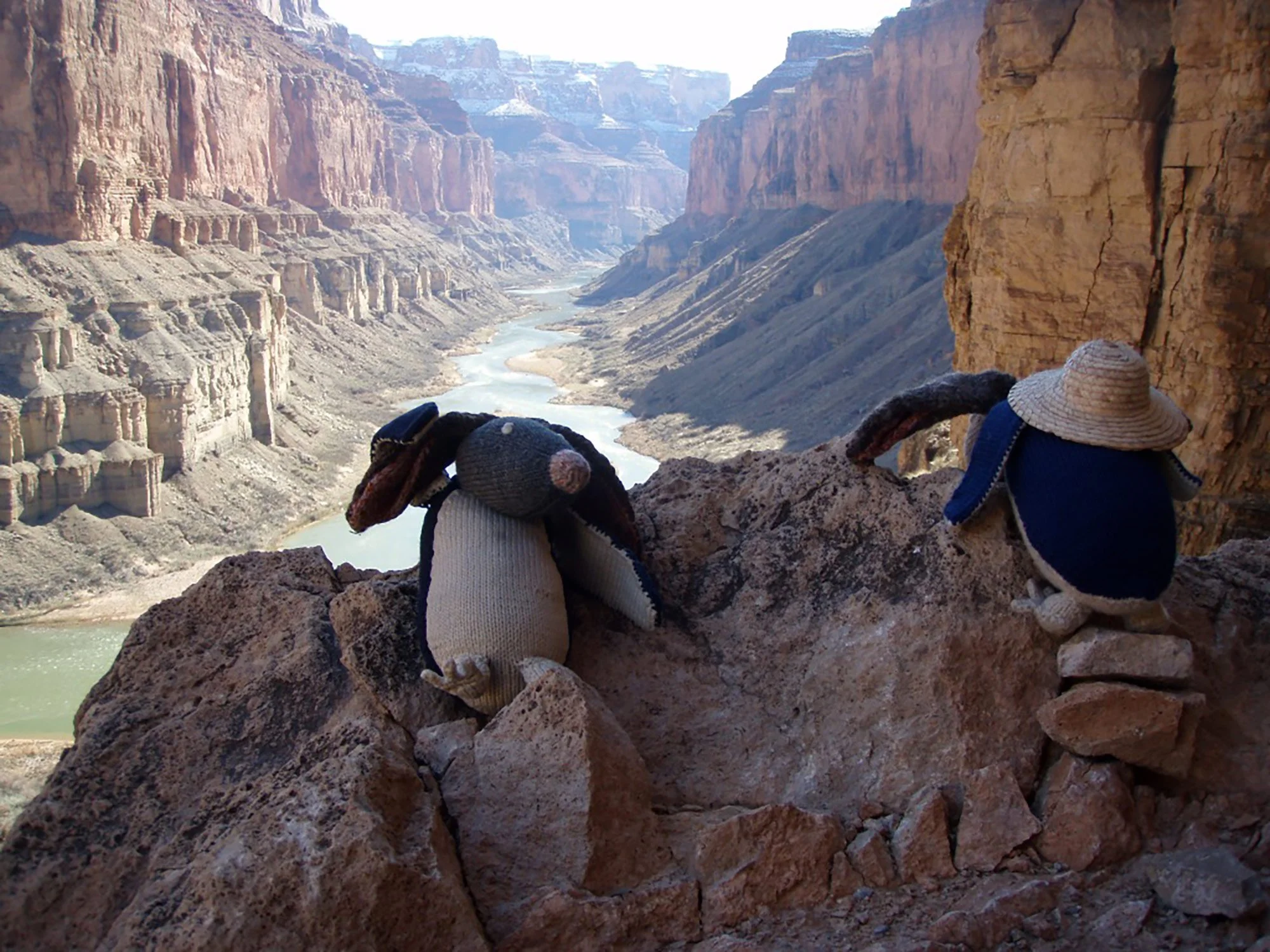 Hand-Knit Animals in the Wild