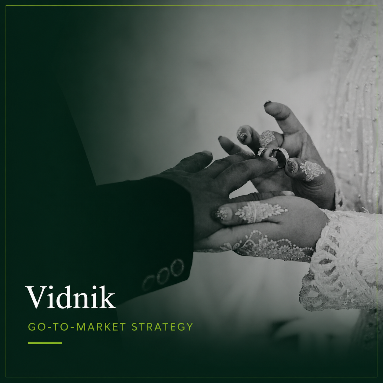 Vidnik