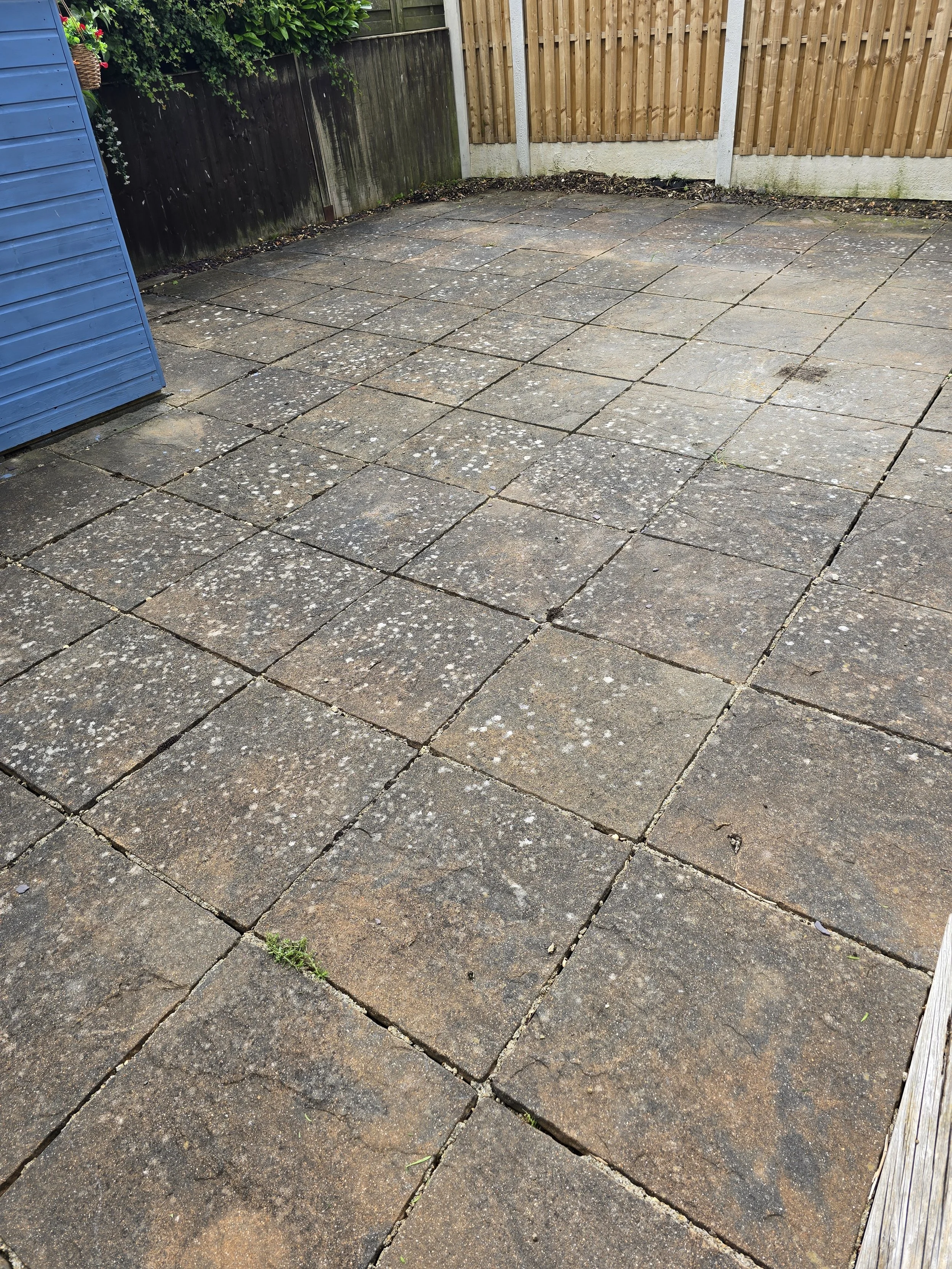A patio with large square pavers, some of which are stained or weathered. There is moss or a small plant growing between some of the cracks. The patio is bordered by a wooden fence and a wall with a blue-painted section.