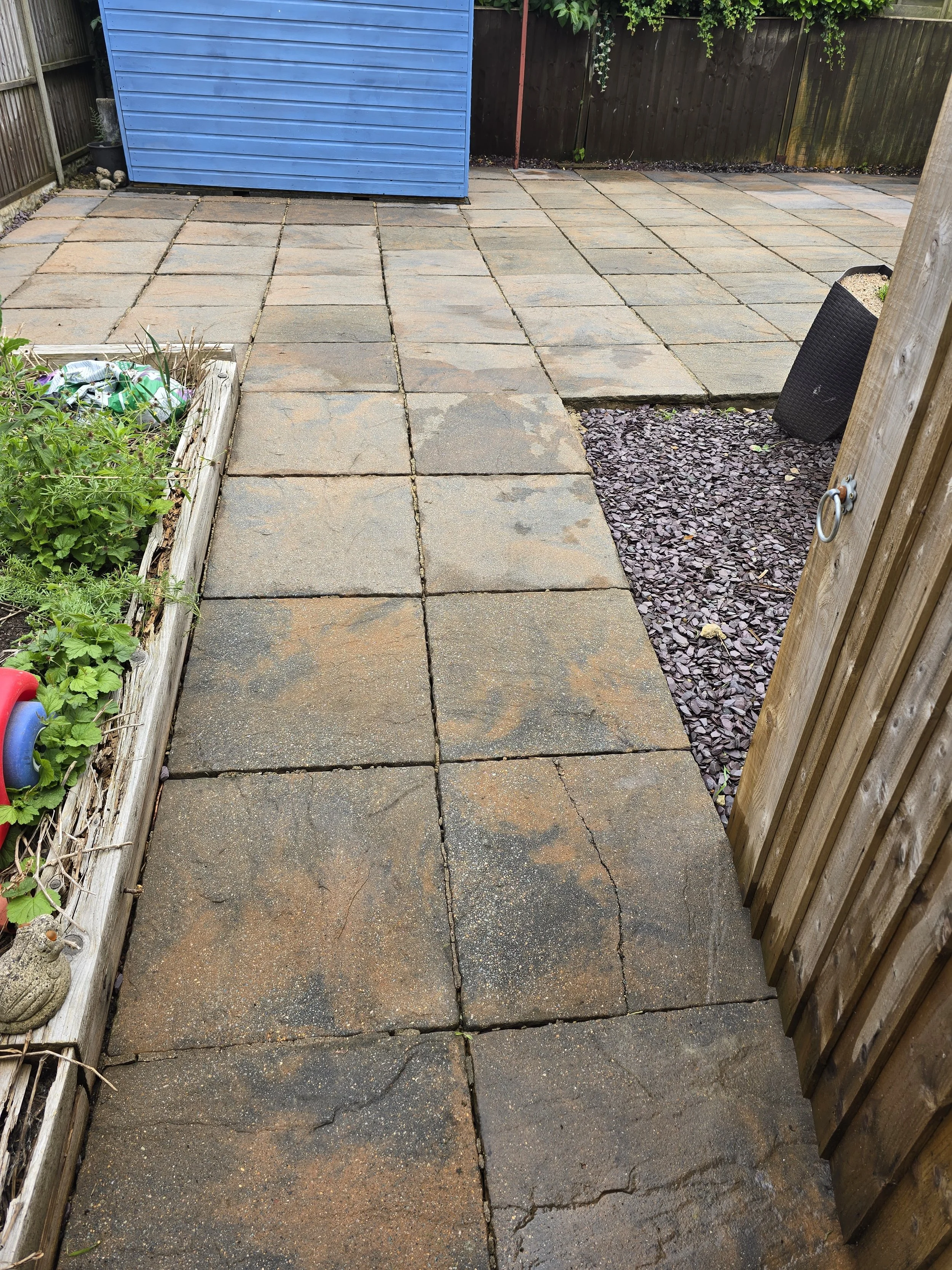 A backyard patio with large stone pavers, a blue shed, a wooden fence, and a garden bed on the left with green plants and a plastic bag.