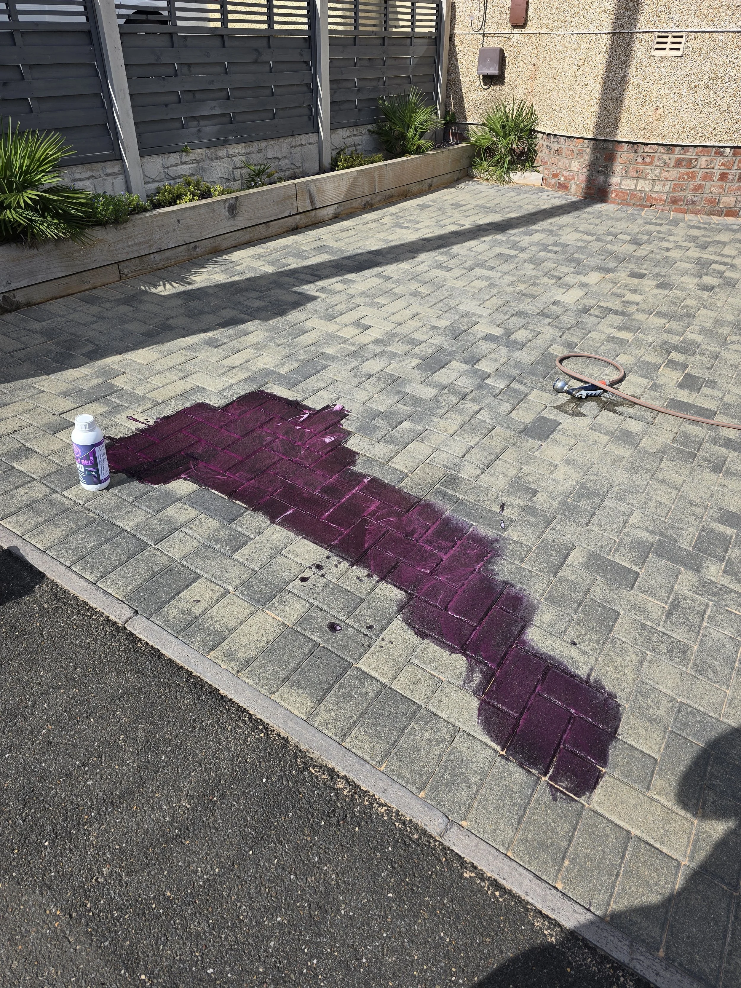 A driveway with a section of bricks being painted with purple paint, a paintbrush, and a container of purple paint. There is a garden bed with plants along a fence on the left and a house wall on the right.