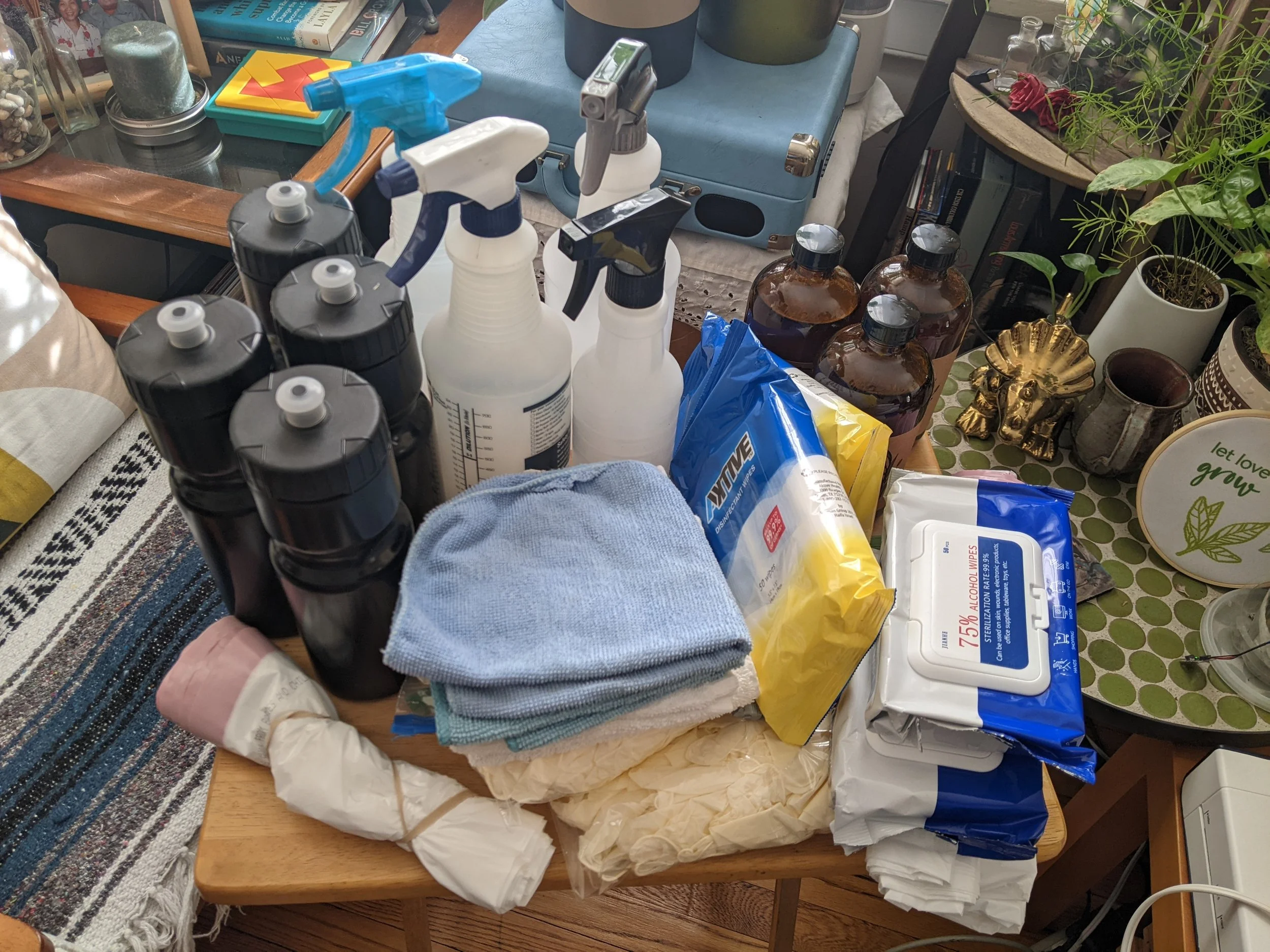 A bunch of cleaning supplies, from spray bottles to rags, as an example of what to bring to the fridghes to help clean