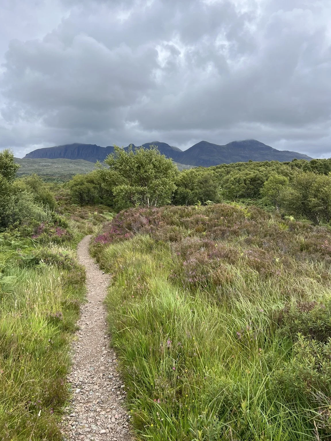 Looking at Quinag