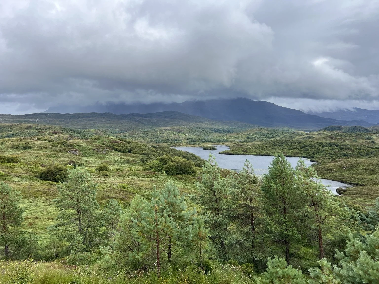 Little Assynt nature reserve
