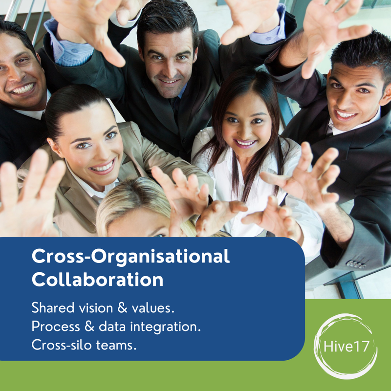 Cross-organisational Collaboration - Are you delivering maximal value?