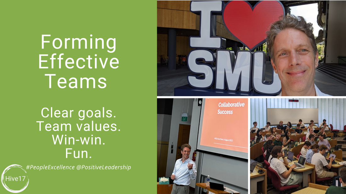 Key for Project Success? Effective Team Collaboration