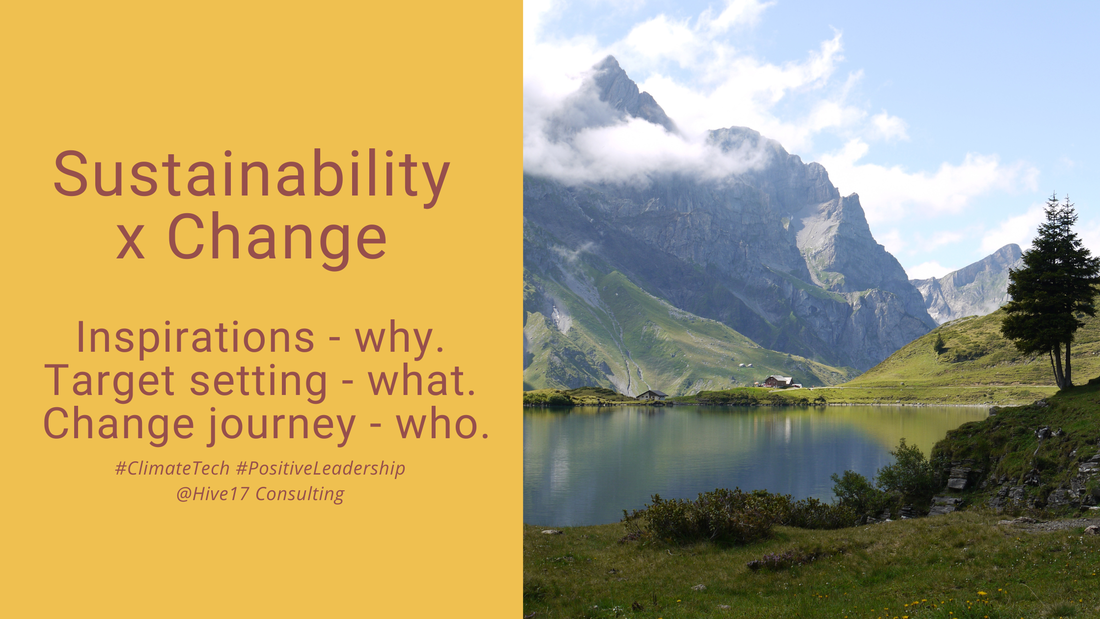 Boost Your Sustainability Journey - Grow Your Business with it
