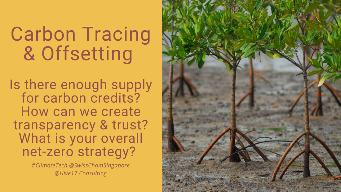 Carbon Tracing & Offsetting - How to get started and set yourself up for success?