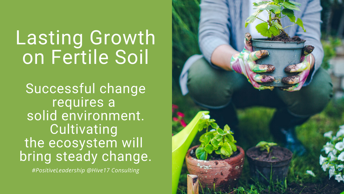 Preparing the Soil for Flourishing Growth