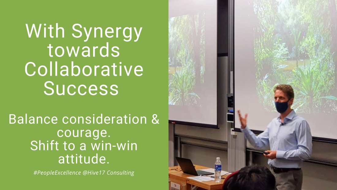 How to collaborate successfully? Establish Synergies