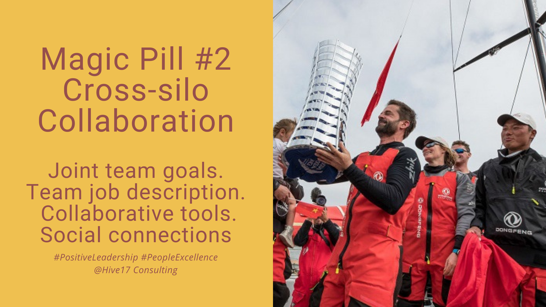 Magic Pill #2 - Bridging Silos