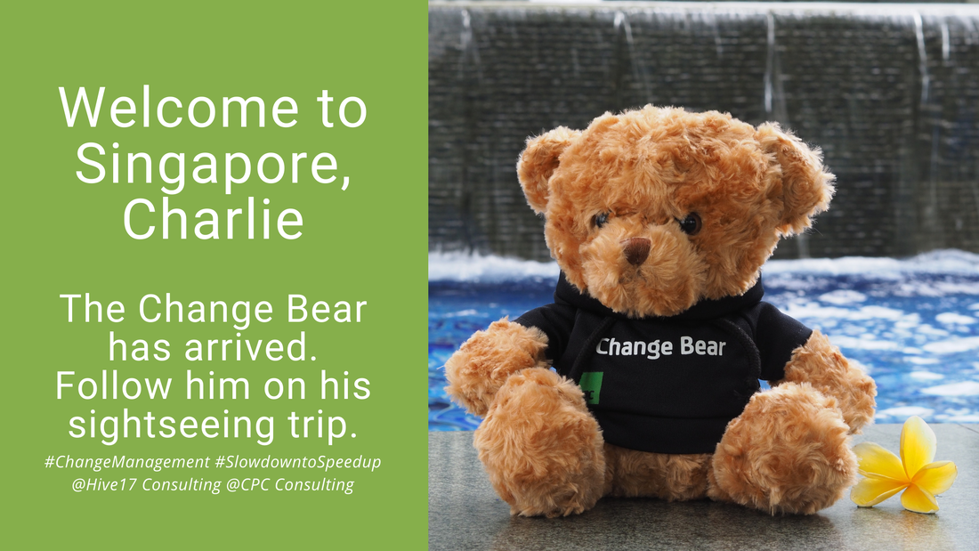 Charlie the Change Bear arrived in Singapore - Welcome!