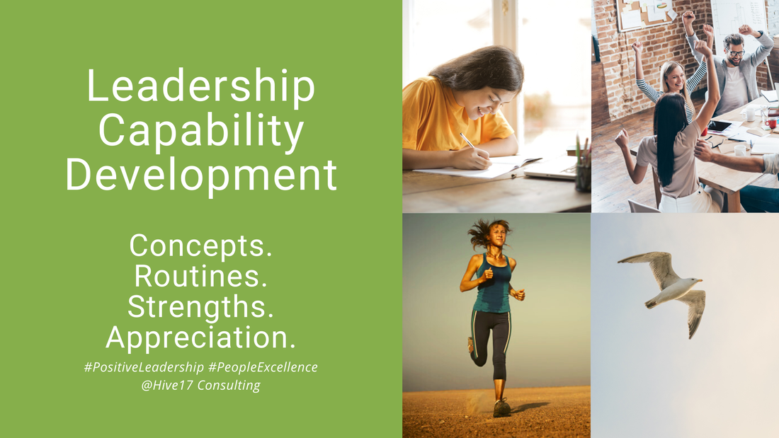 Training versus Coaching - How to develop leadership skills for lasting success?