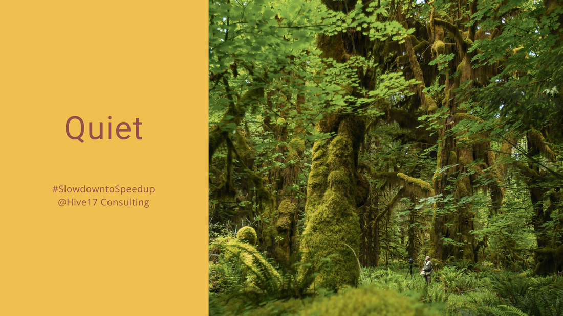 Refuel Your Energy - Quiet Parks