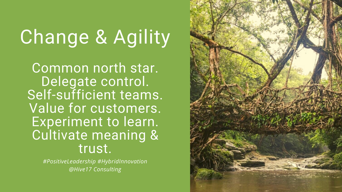Agility from a Change Management Perspective