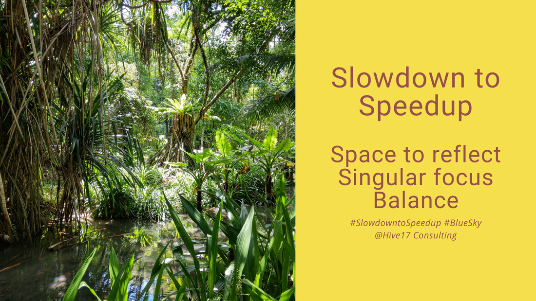 Slow Down to Speed Up - Yes, Again