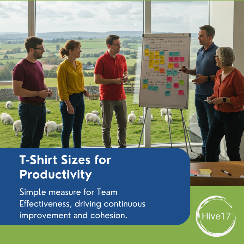 Sizing Up Success: T-Shirt Sizes are a Simple Approach to Measure Your Team Productivity