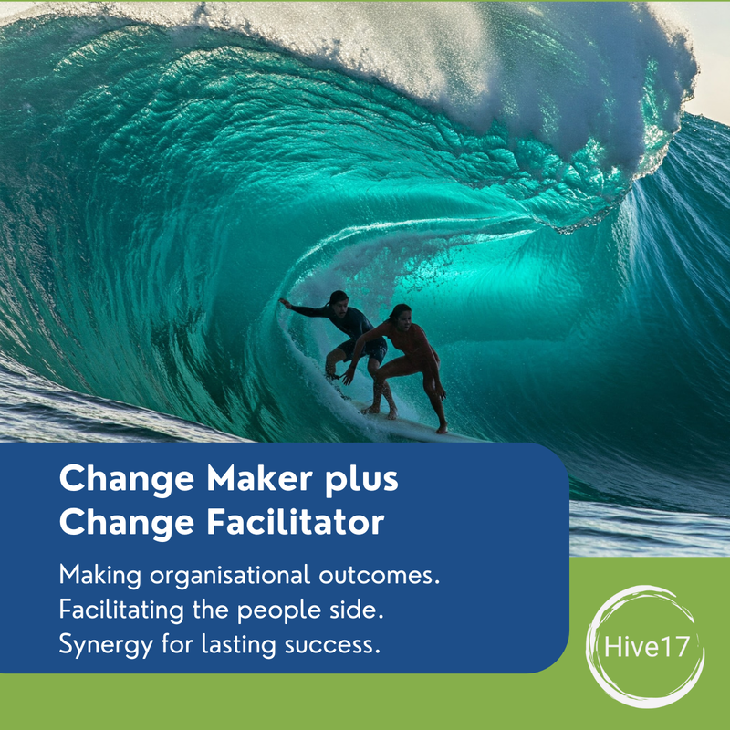 The Synergy between Change Maker & Change Facilitator
