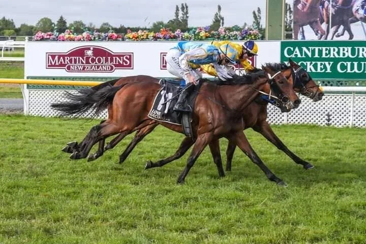 Two racehorses with jockeys in racing gear competing on a racetrack. The background shows advertising banners and a grassy track.