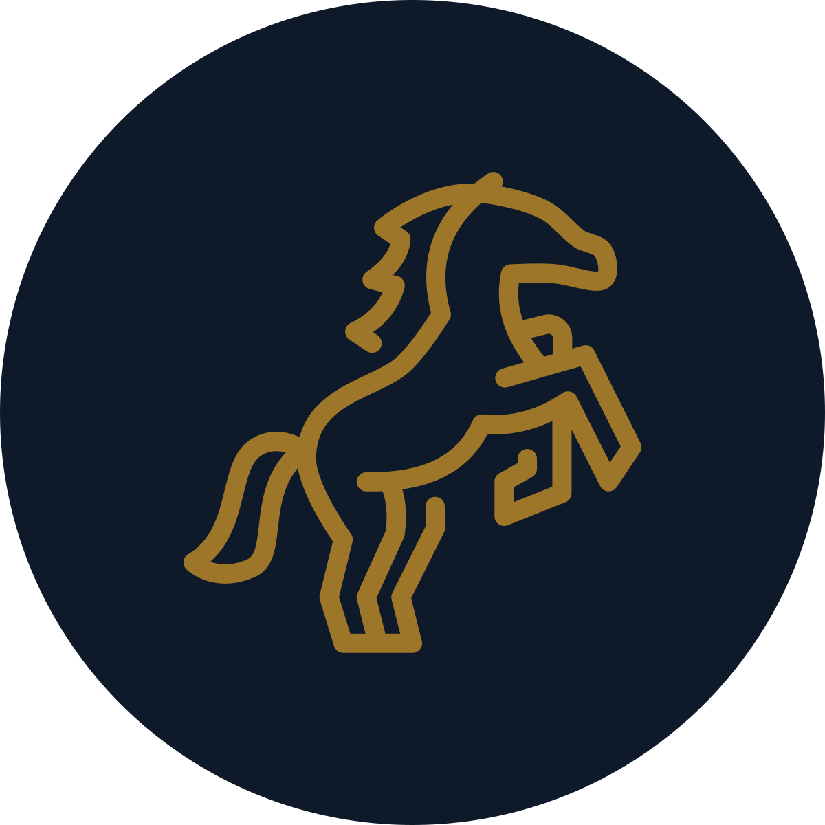 Gold outline of a rearing horse on a navy blue circular background.