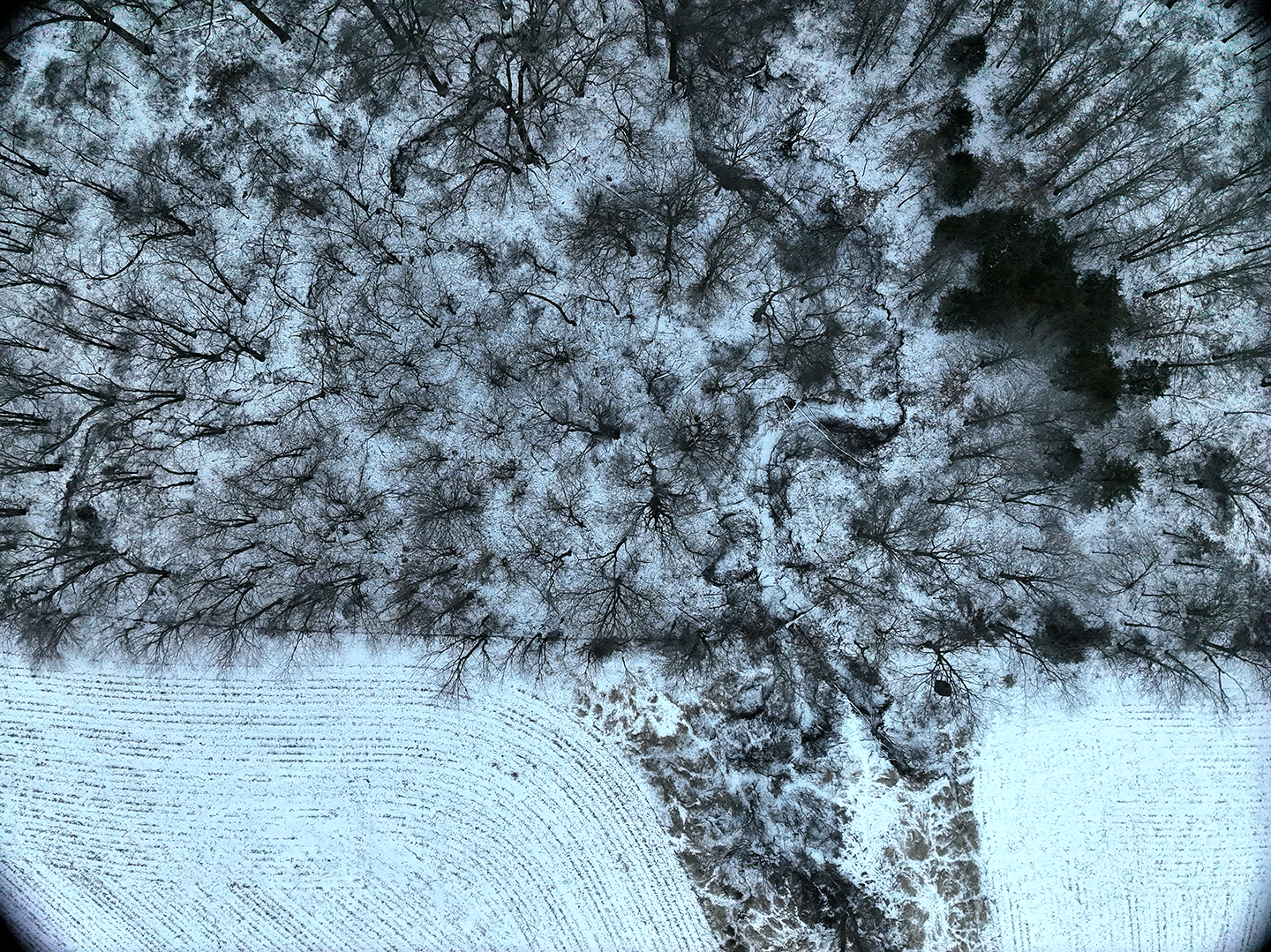 An aerial view of a snow-covered forest with leafless trees and a clearing with visible tracks