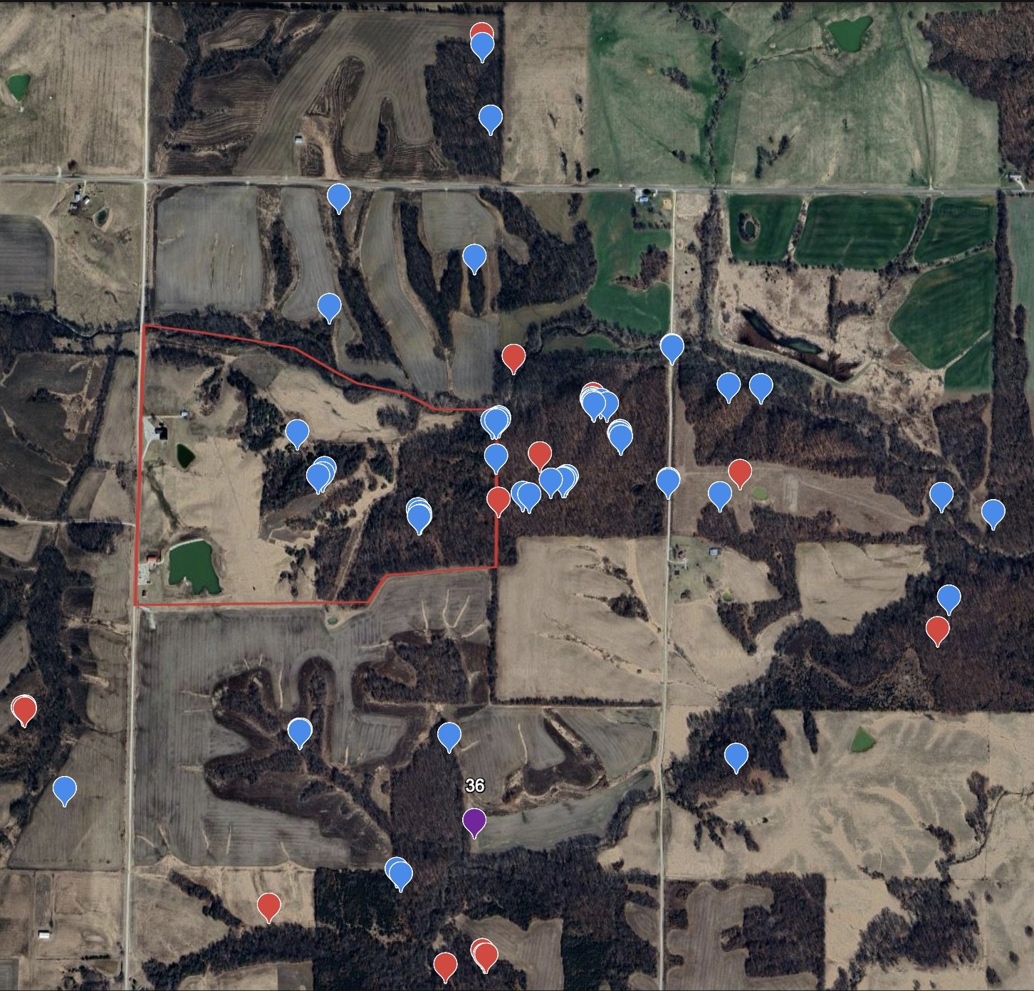 An aerial map of rural farmland and wooded areas with various colored markers wildlife herds, whitetail deer herd locations