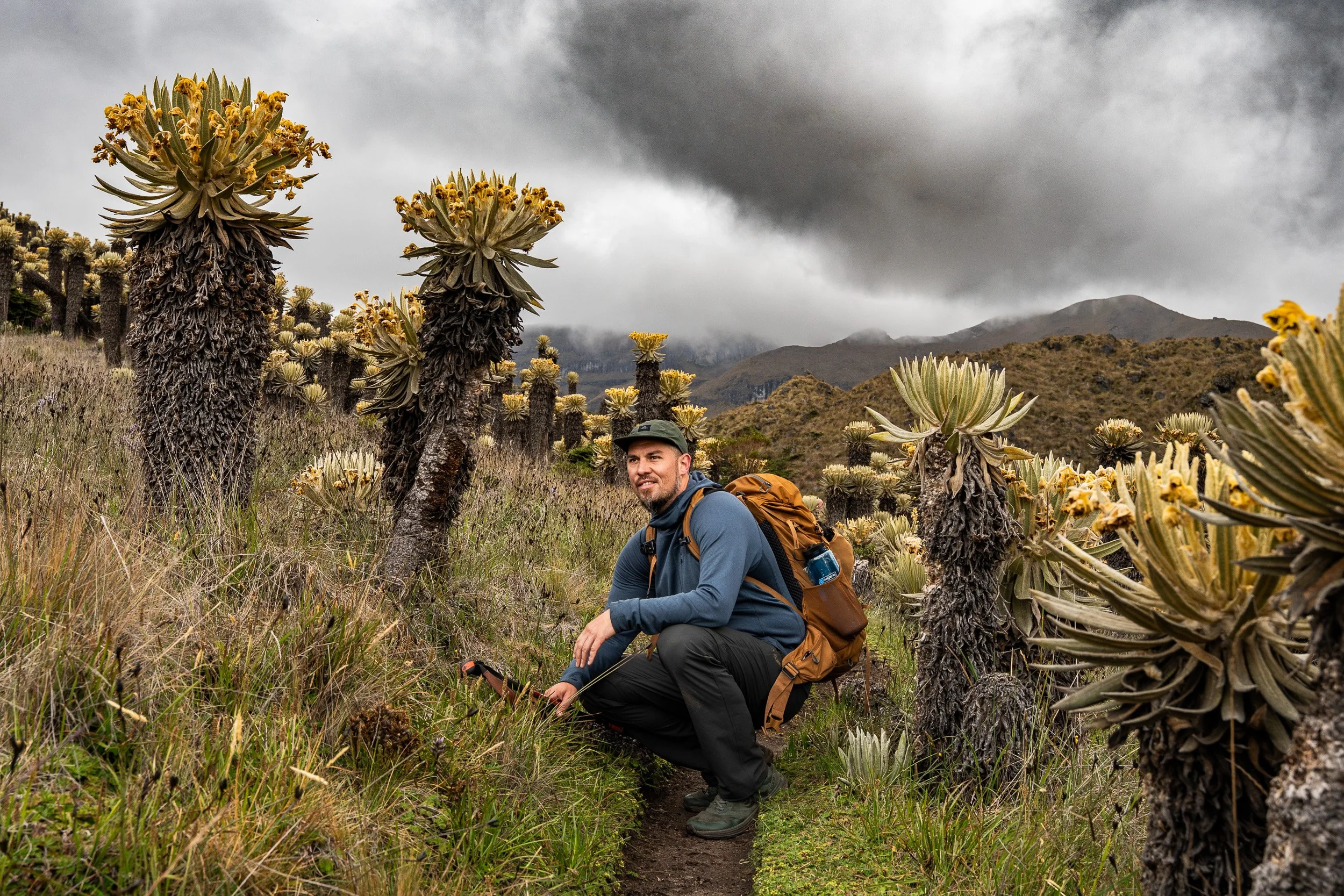 Man with beard wearing a black hat, blue jacket, black pants, and carrying an orange backpack, crouching on a trail among tall, thick cactus plants with yellow flowers on cloudy day with mountains in the background.