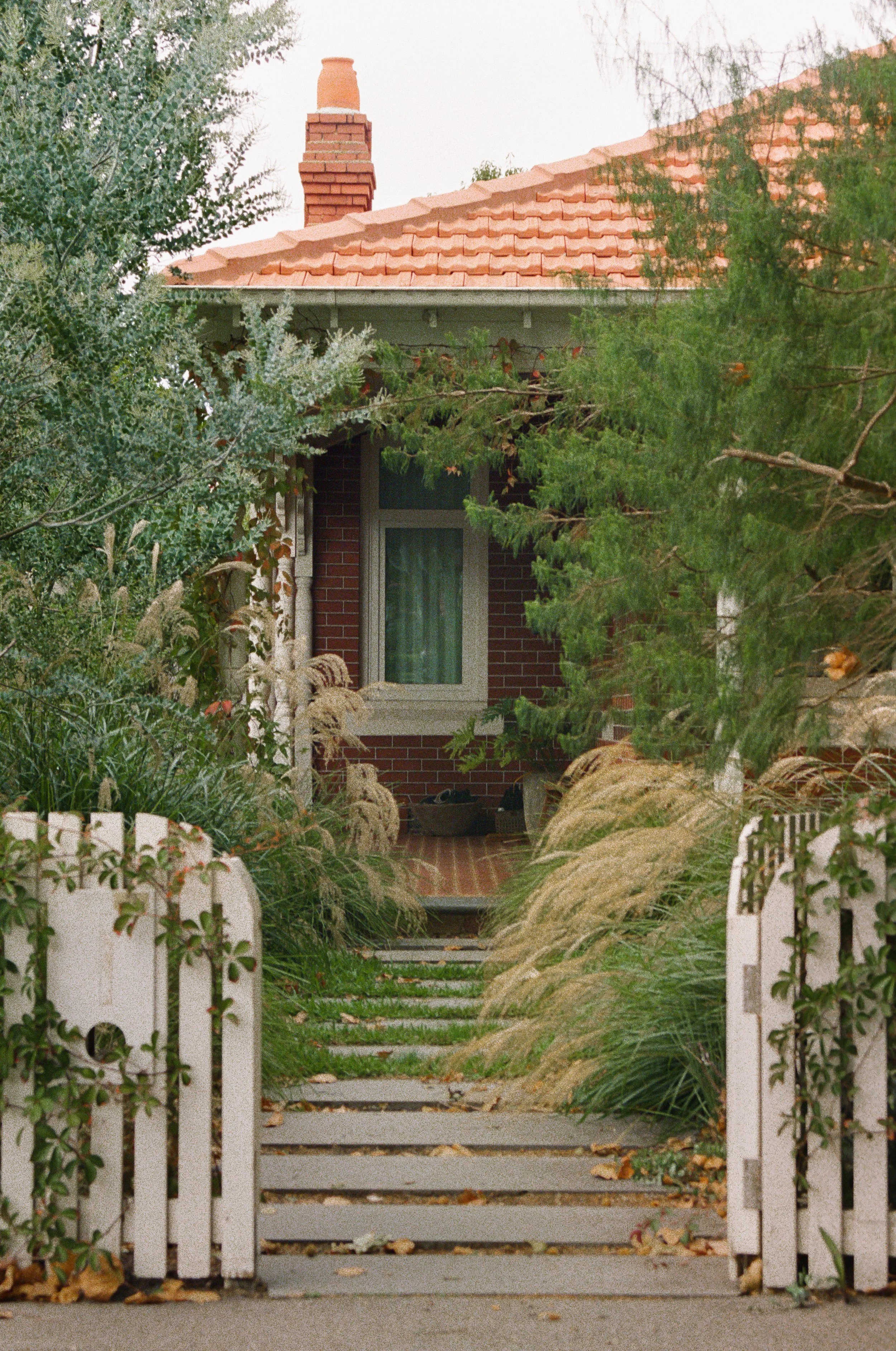 A south yarra white picket fence modernist home, along a garden path leading to a brick house with a tiled roof and chimney, surrounded by trees and plants.