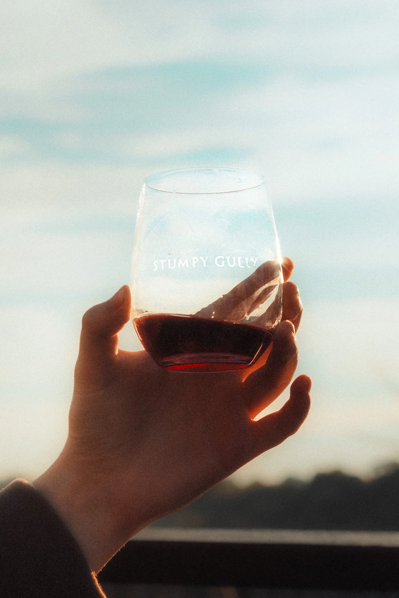 A person's hand holding a glass of red wine from Stumpy Gully against a blue sky with soft clouds during sunset.
