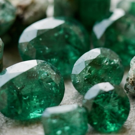 The Emerald Path: 16 Coaching Sessions