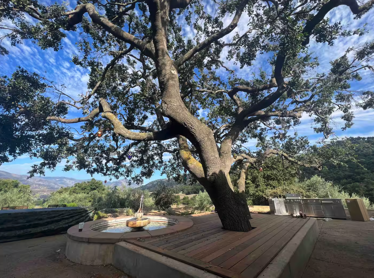 A large tree with twisted branches growing over a wooden deck with a fire pit. There are outdoor kitchen appliances and scenic mountains in the background.