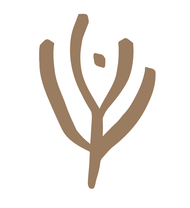A simple, stylized illustration of a brown plant or flower with five elongated branches and a small dot at the top.