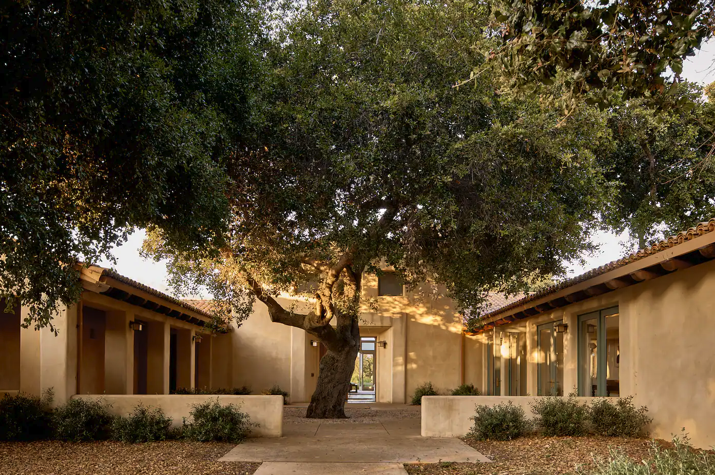 A courtyard with a large tree in the center, surrounded by beige buildings with tiled roofs and windows, during sunset.