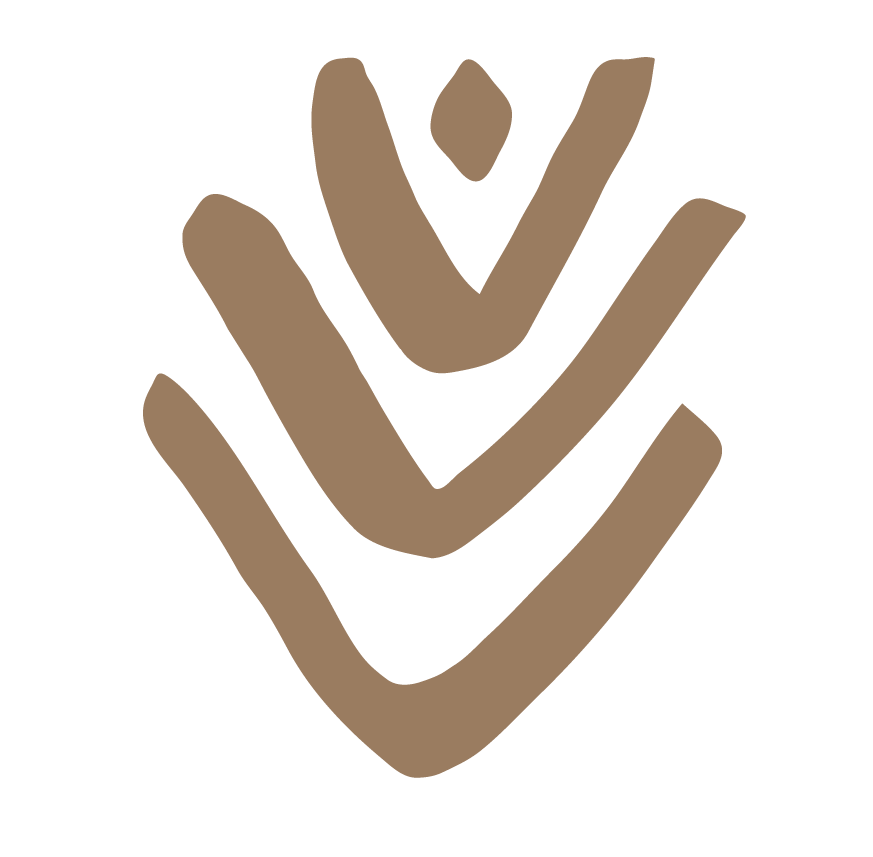 Stylized brown checkmark symbol on a black background