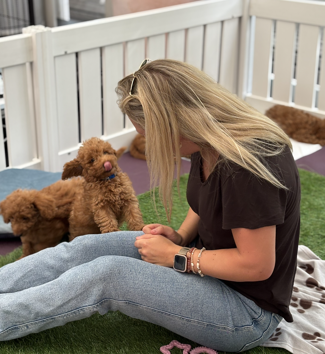 A woman sitting on a blanket on the grass in a pen with several small brown puppies. She is leaning forward towards a puppy, which is licking her face. The woman is wearing a black t-shirt, light jeans, and has a smartwatch and beaded bracelets on her wrist. The puppies are inside a fenced area with a purple and green mat.
