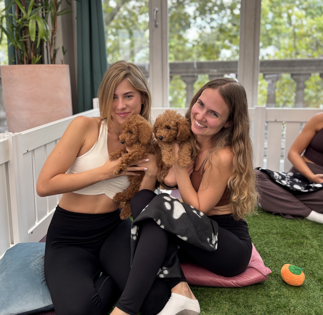 Two women sitting on cushions outdoors, holding small brown poodle puppies, smiling at the camera, with a woman in the background and a small orange plush pumpkin on the grass.