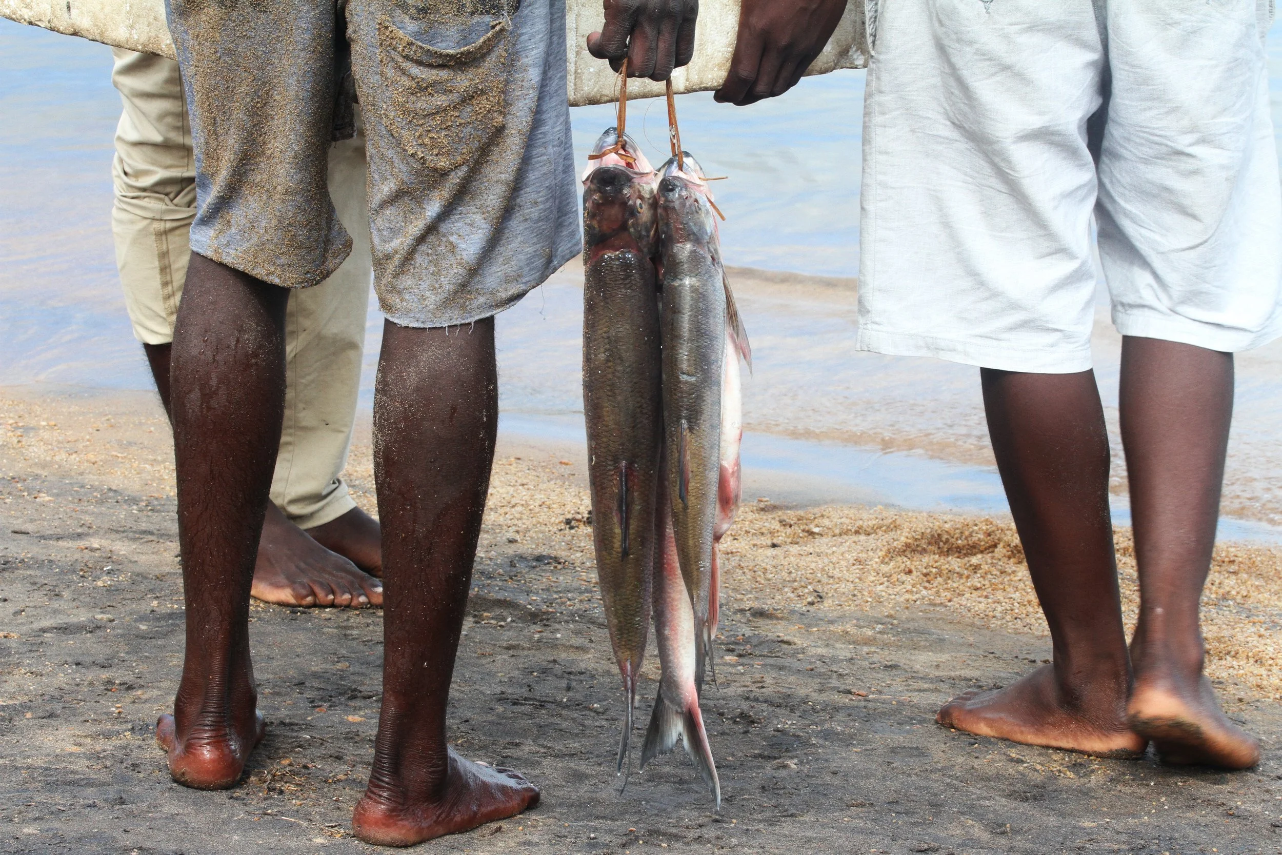 Fishermen are seen on the shores of Lake Malawi selling fish.