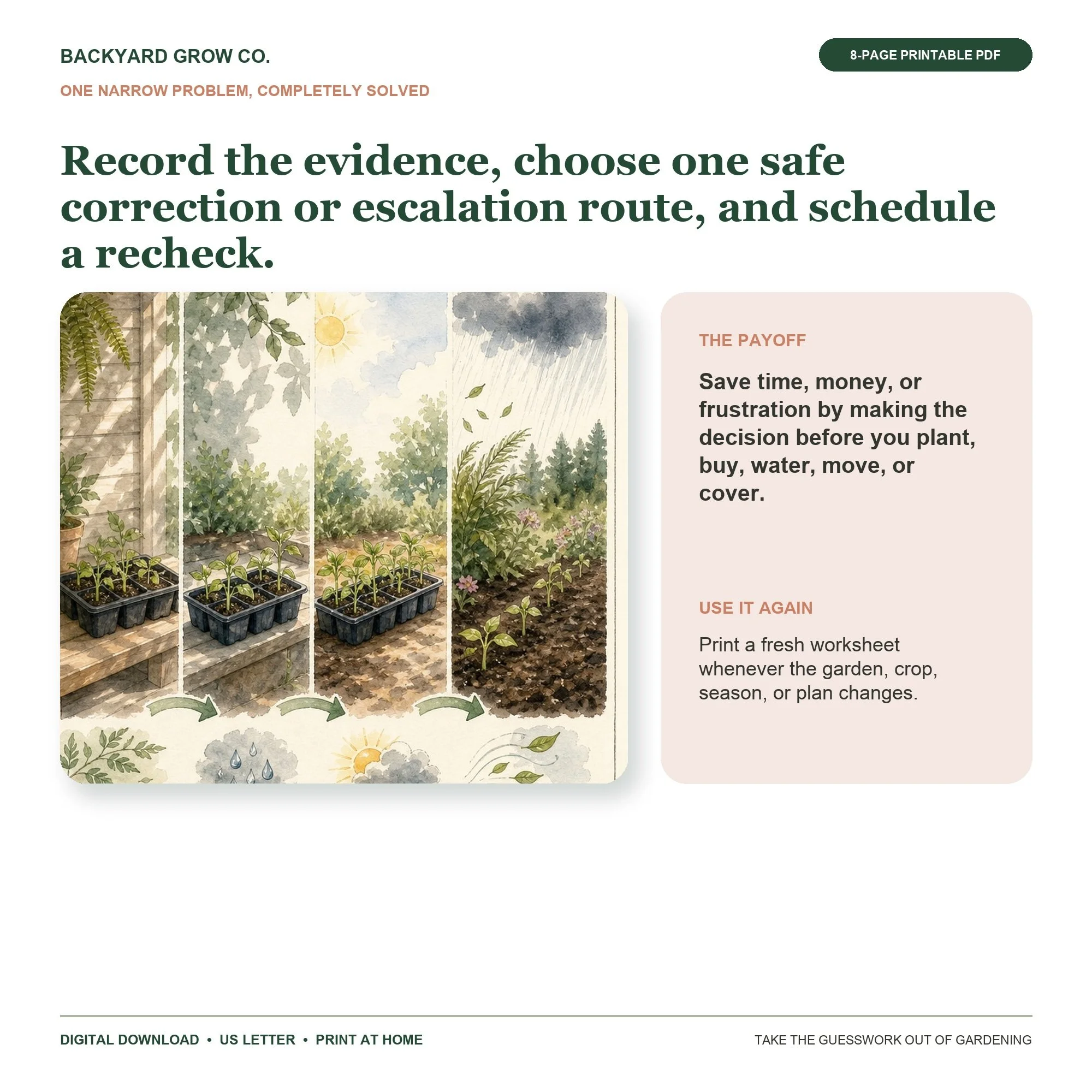Choose the Next Safe Step for Struggling Seedlings preview showing the main garden decision and the completed result.