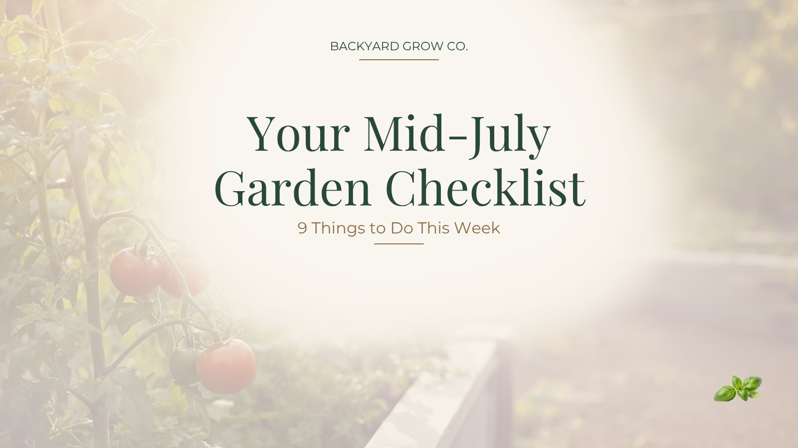 Your Mid-July Garden Checklist: 9 Things to Do This Week