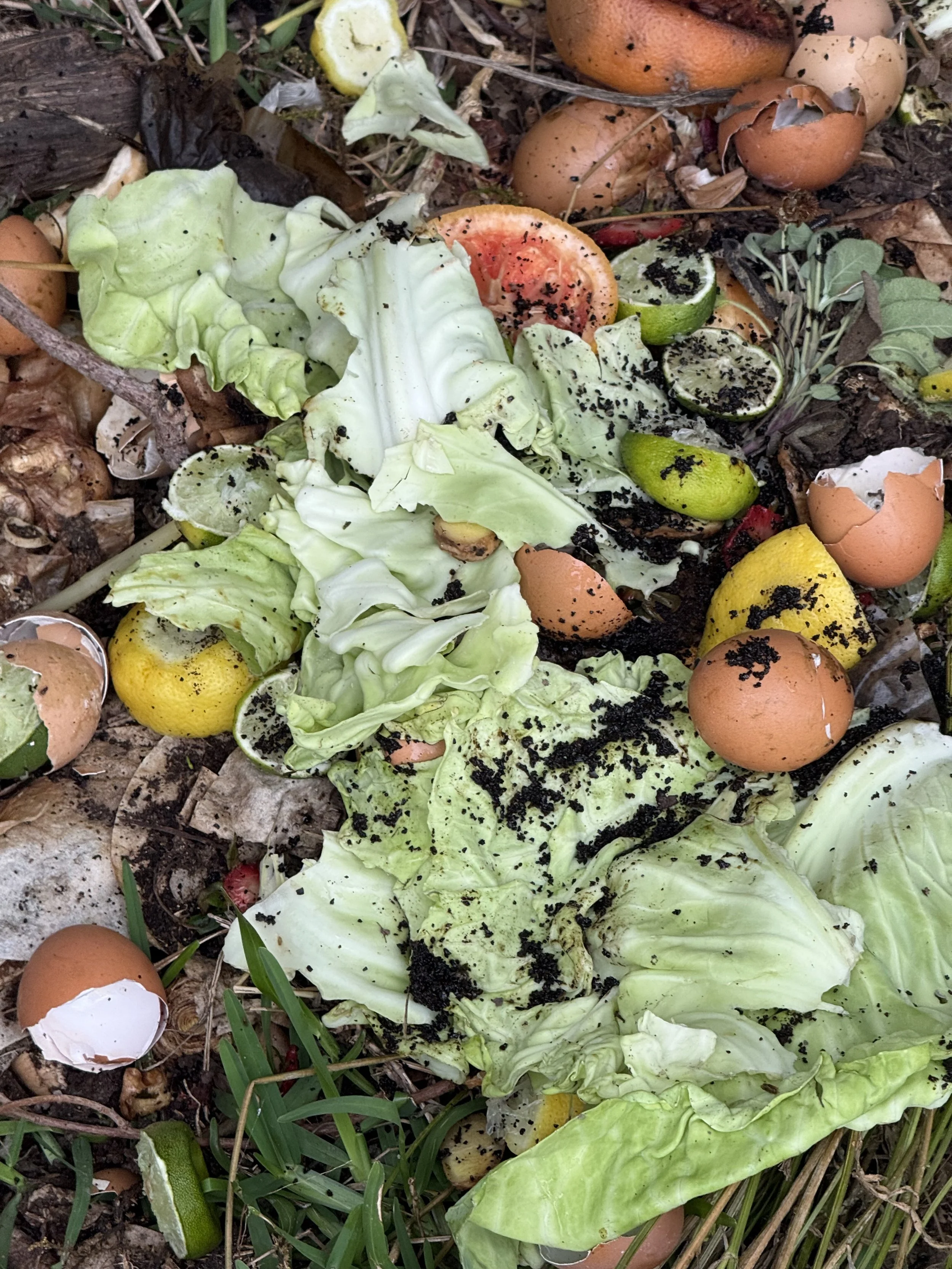 Vegetable scraps, citrus peels, and eggshells in compost.