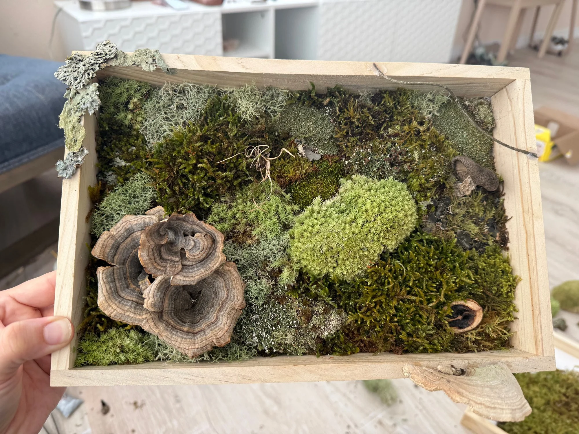 A wooden frame filled with green moss and layered natural textures, held in one hand.