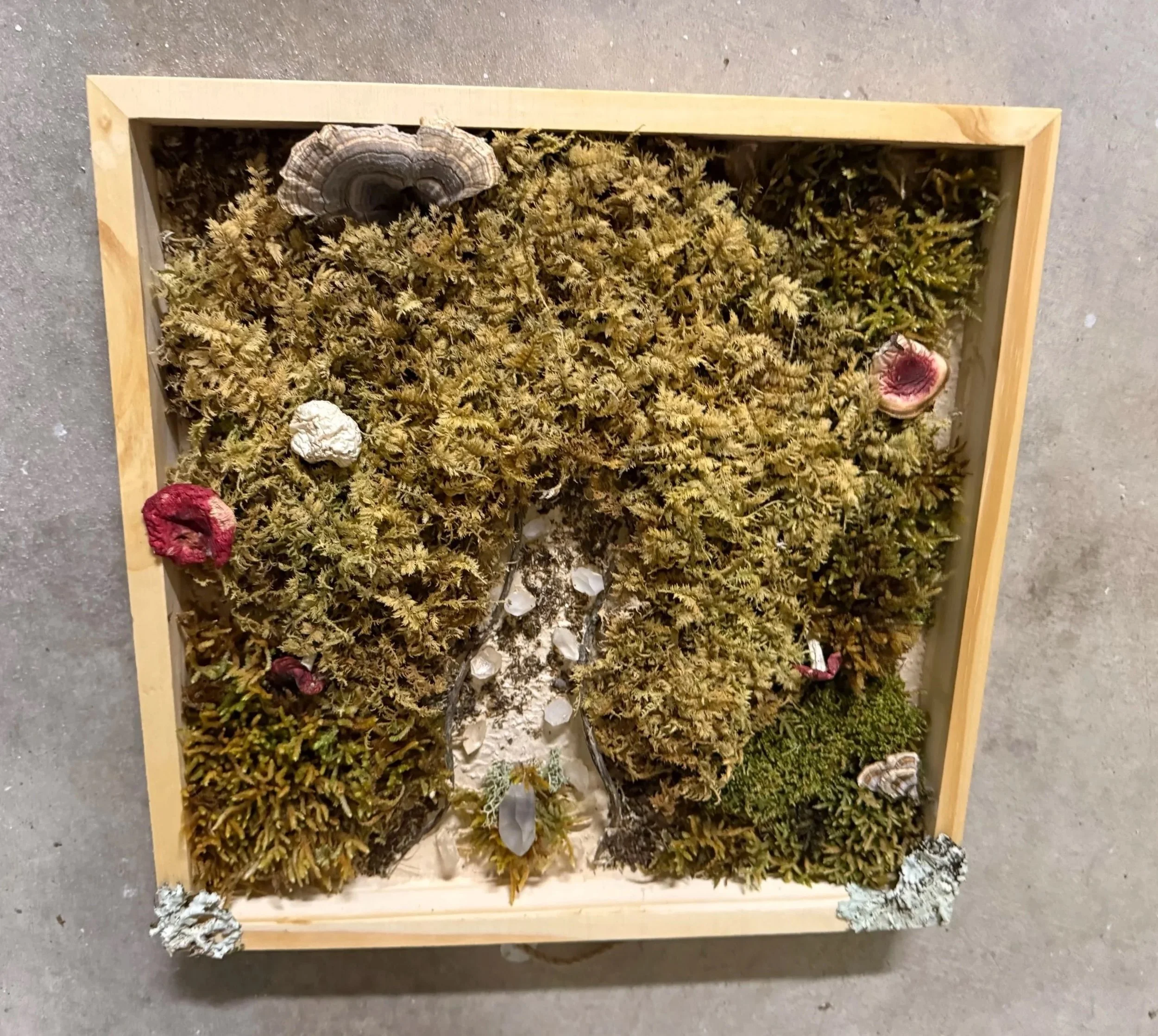 A square wooden frame filled with moss, stones, and small natural details.