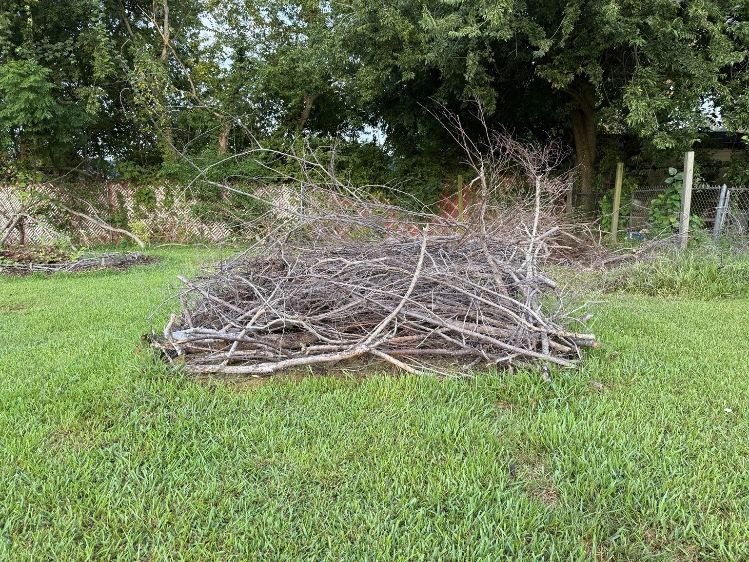 Branches piled on the lawn for a hugelkultur mound.