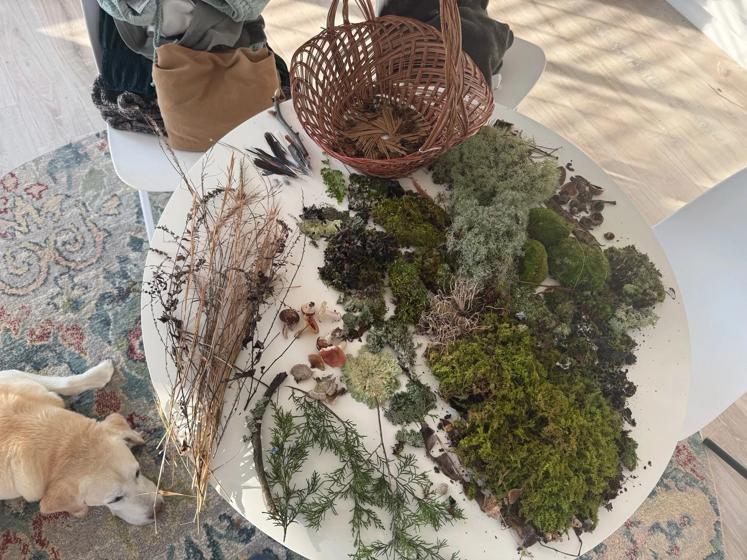 Gathered moss and natural materials spread across a creative workbench beside a woven basket.