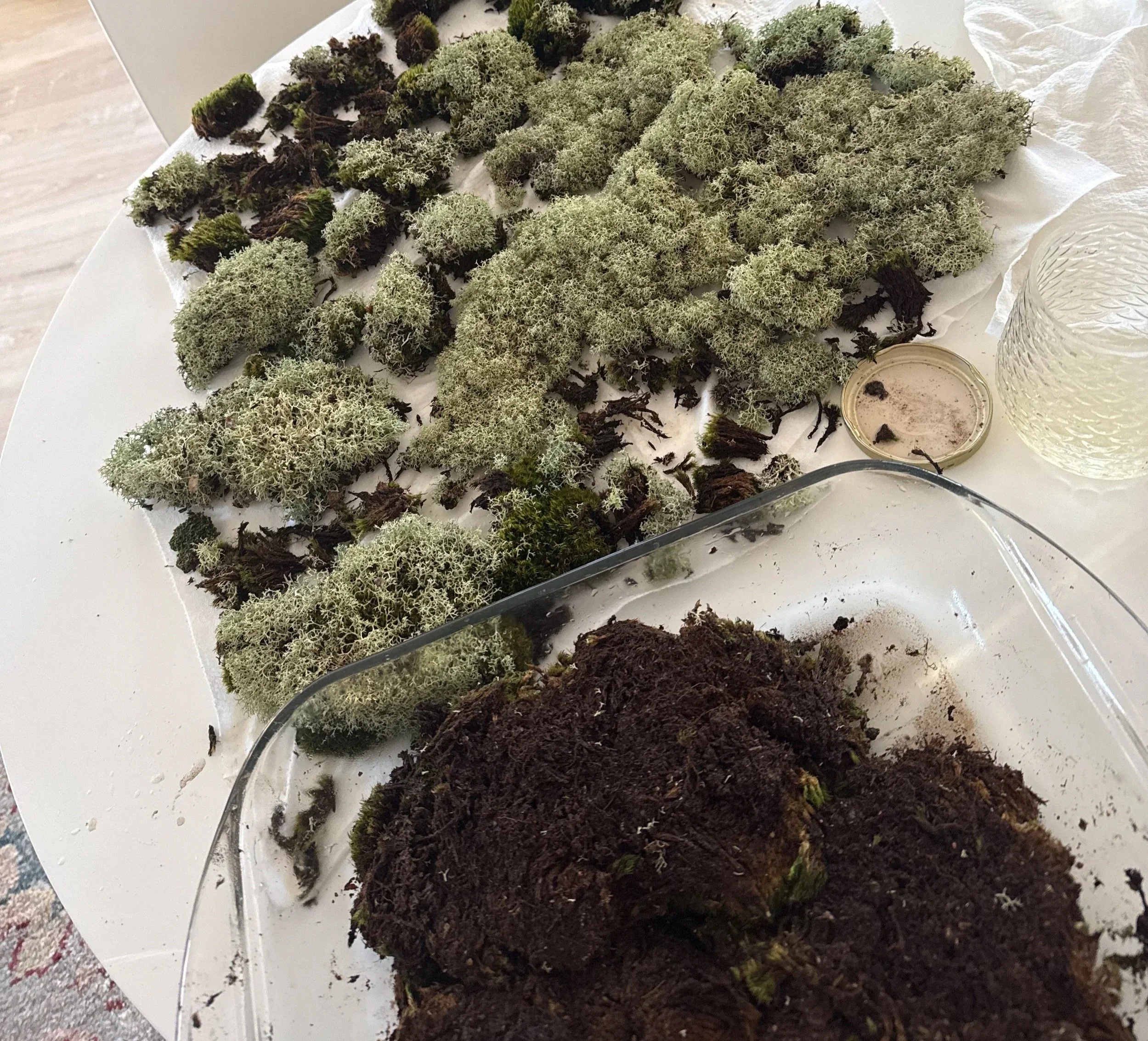 Gathered moss, lichens, and soil on a work table.